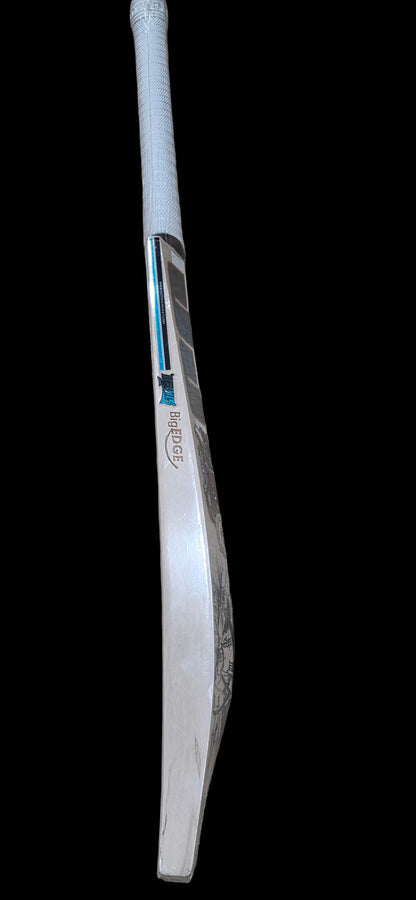 SS Devil Purple cricket bat English willow